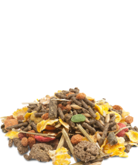 Versele Laga Crispy Muesli Guinea Pigs Yemi 1 Kg