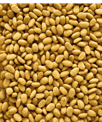 Versele Laga Nutribird P19 Original Üreyen Papağanlar İçin Meyveli Pelet (B) Yem 1 kg