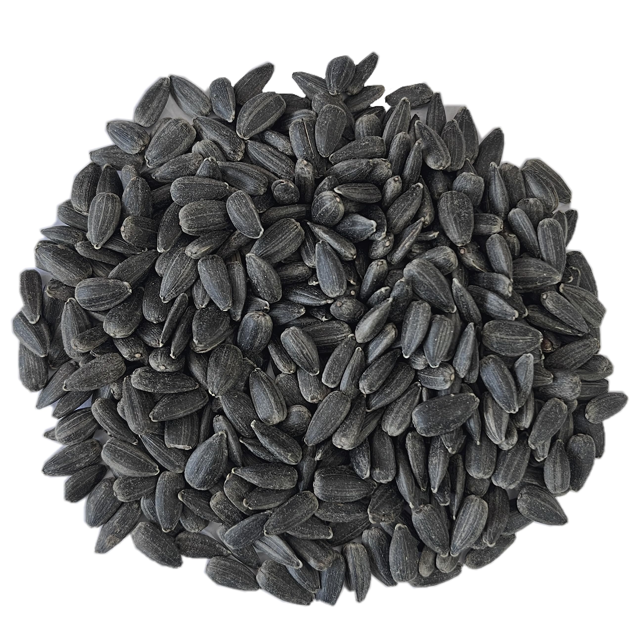 Vivid Bird Siyah Minik Çekirdek Premium (VP) 1 kg