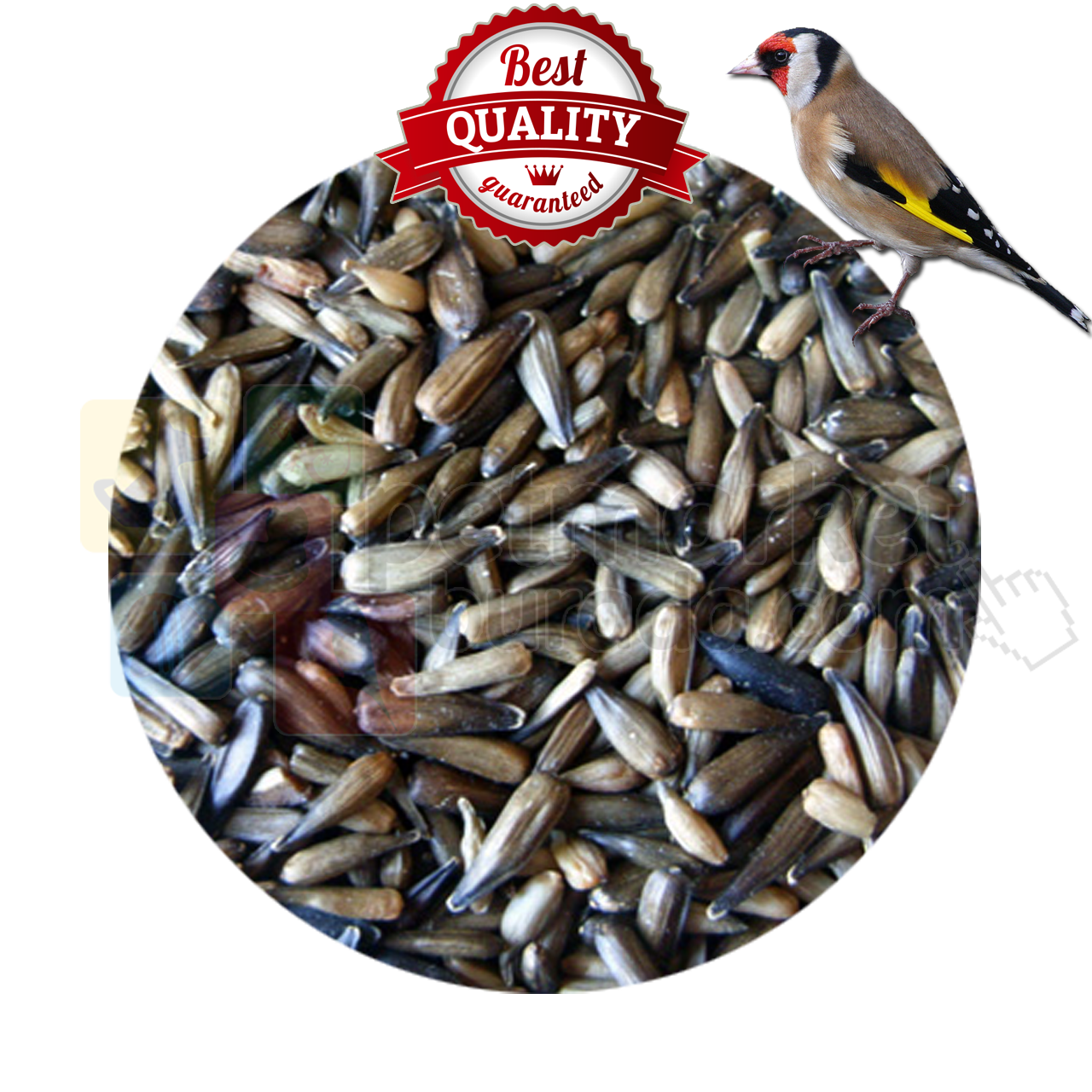Ornitalia Mikro Çekirdek Premium 250 gr