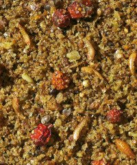 Versele Laga Uni Patee Ballı Karidesli Meyveli Doğa Kuşu Maması 1 kg