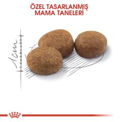 Royal Canin Sterilised 37 Kısırlaştırılmış Kediler İçin Kuru Kedi Maması 10 Kg
