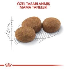Royal Canin Sterilised 37 Kısırlaştırılmış Kediler İçin Kuru Kedi Maması 4 Kg