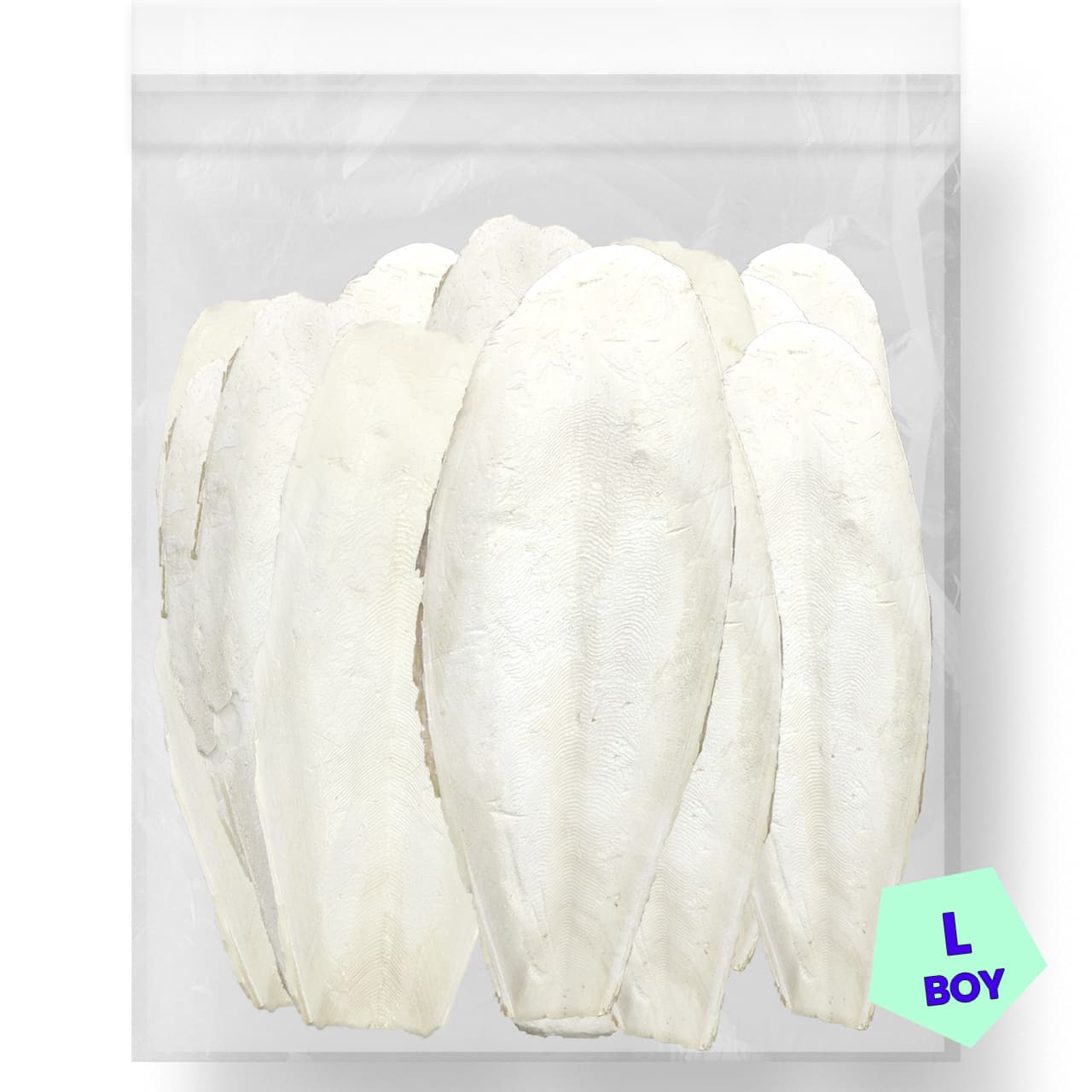 G1 Experience Mürekkep Balığı Kalamar Kemiği LARGE Boy 1 kg