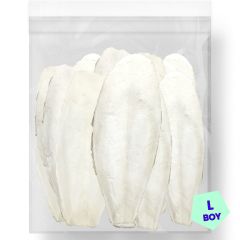 G1 Experience Mürekkep Balığı Kalamar Kemiği LARGE Boy 1 kg