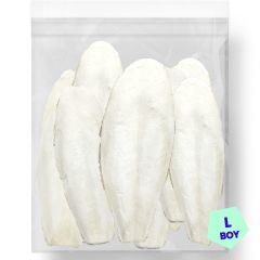 G1 Experience Mürekkep Balığı Kalamar Kemiği LARGE Boy 500 gr