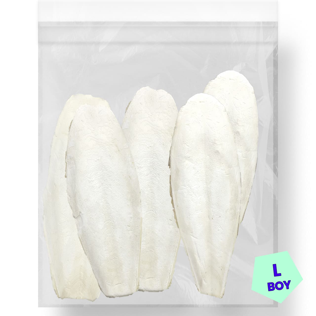 G1 Experience Mürekkep Balığı Kalamar Kemiği LARGE Boy 250 gr