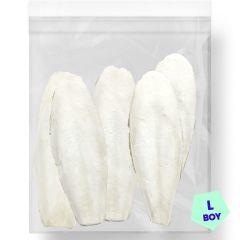 G1 Experience Mürekkep Balığı Kalamar Kemiği LARGE Boy 250 gr