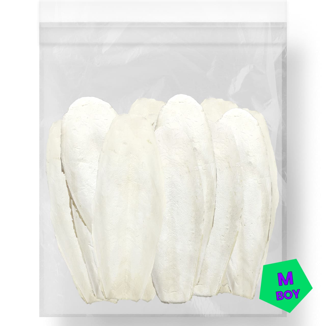 G1 Experience Mürekkep Balığı Kalamar Kemiği MEDIUM Boy 500 gr