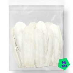 G1 Experience Mürekkep Balığı Kalamar Kemiği MEDIUM Boy 500 gr
