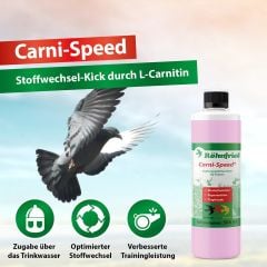 Röhnfried Carni-Speed L-Karnitinli Metobolizma Düzenlyeci Yağ Yakıcı (B) 100 ml