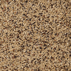 Deli Nature Premium Canaries Karışık Kanarya Yemi 1 kg