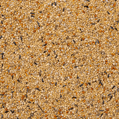 Deli Nature Premium Foreign Finches Karışık Finç Yemi (OP) 1.100 gr