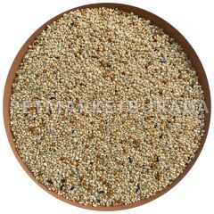 Versele Laga Prestige Tropical Finches Finç Yemi 1 Kg (Çuvaldan Bölünme)