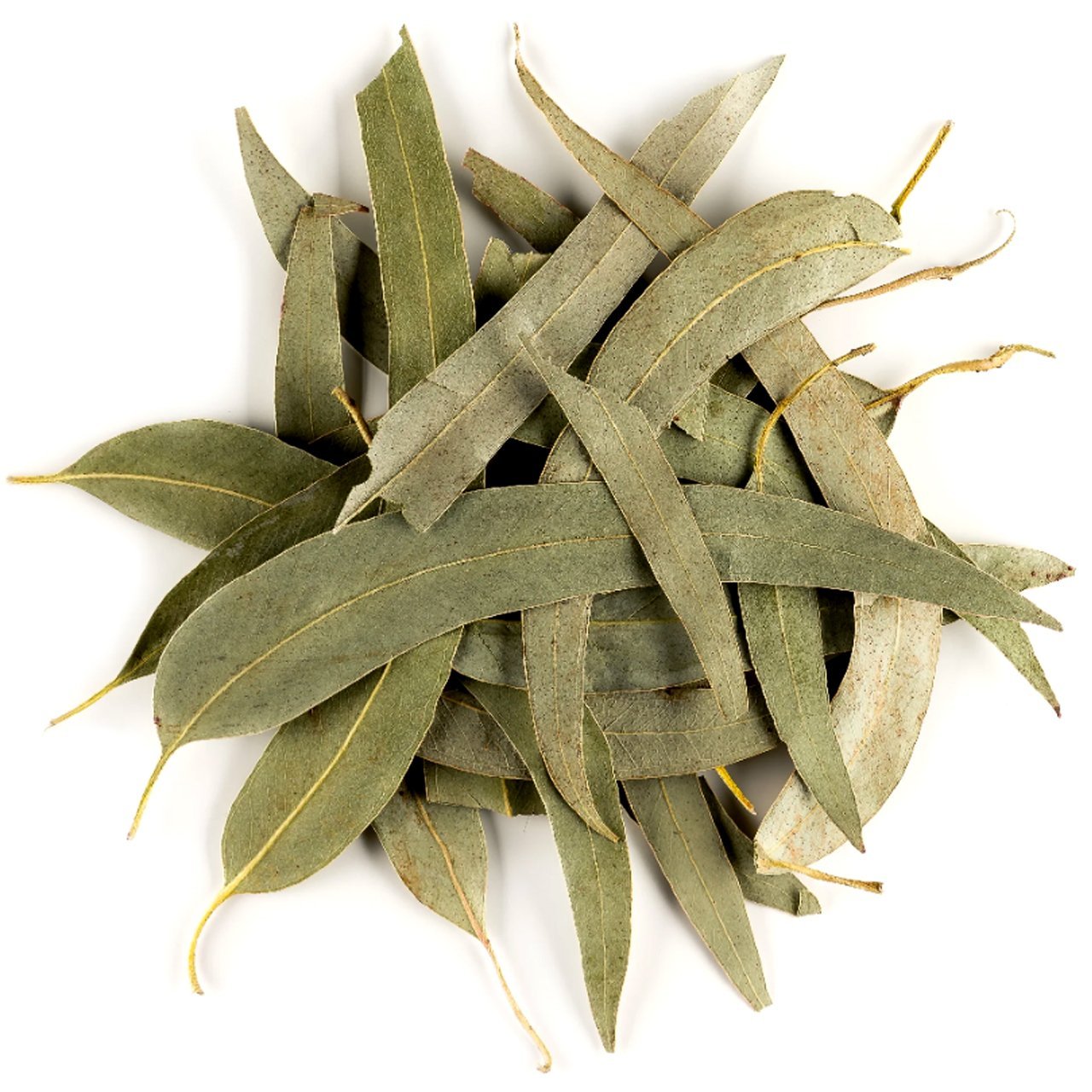 G1 Experience Süper Kalite Doğal Okaliptüs Yaprağı 250 gr