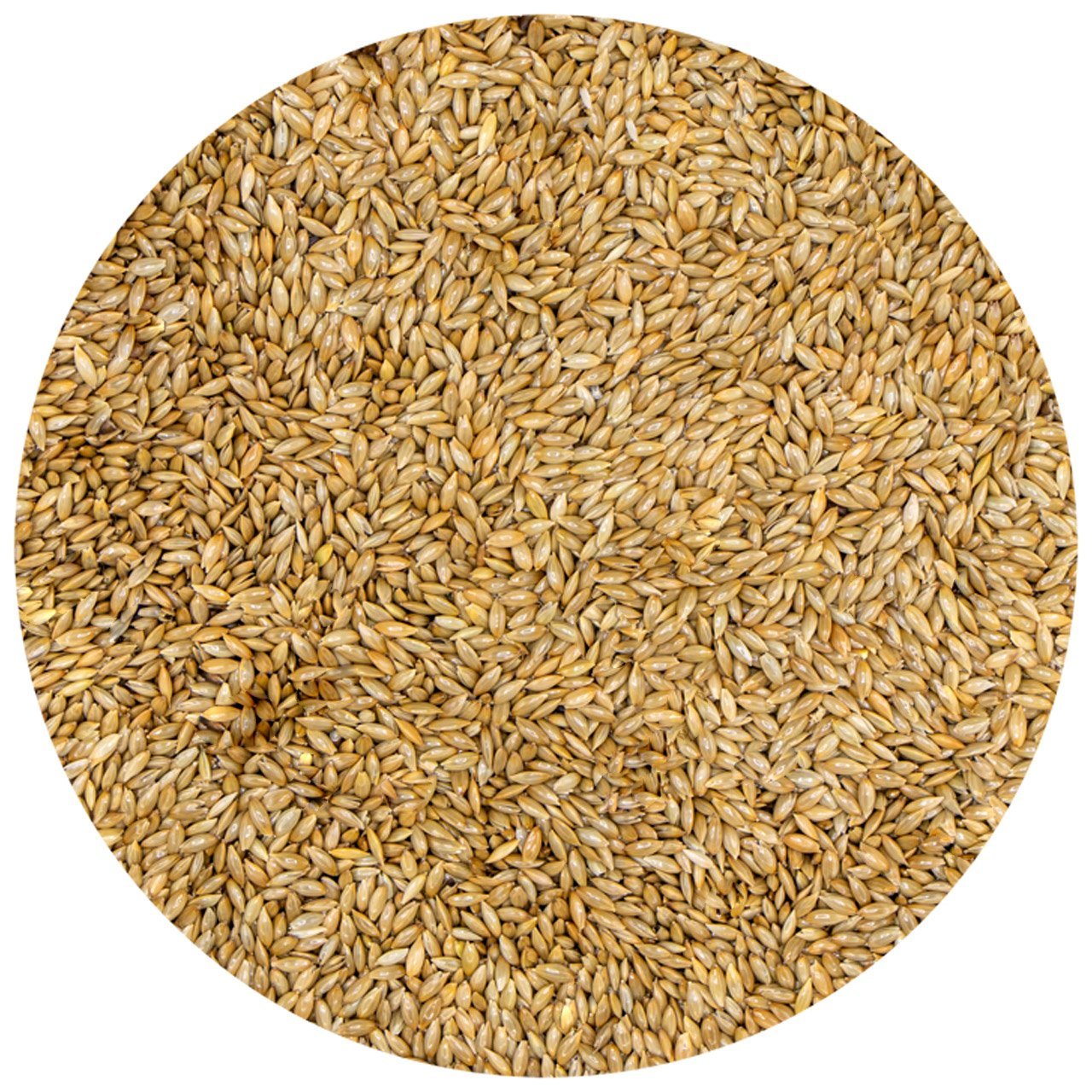 G1 Experience Sade Aspur Premium Tozsuz (Sade Kanarya Yemi) 5 kg