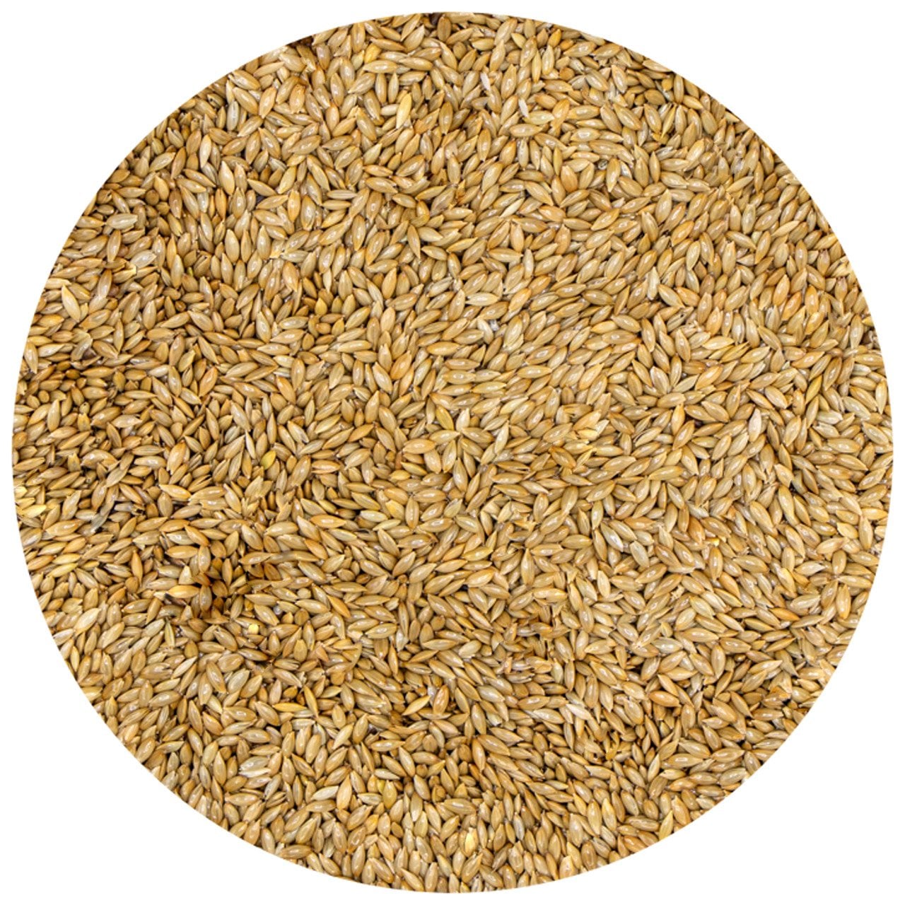 G1 Experience Sade Aspur Premium Tozsuz (Sade Kanarya Yemi) 1 kg