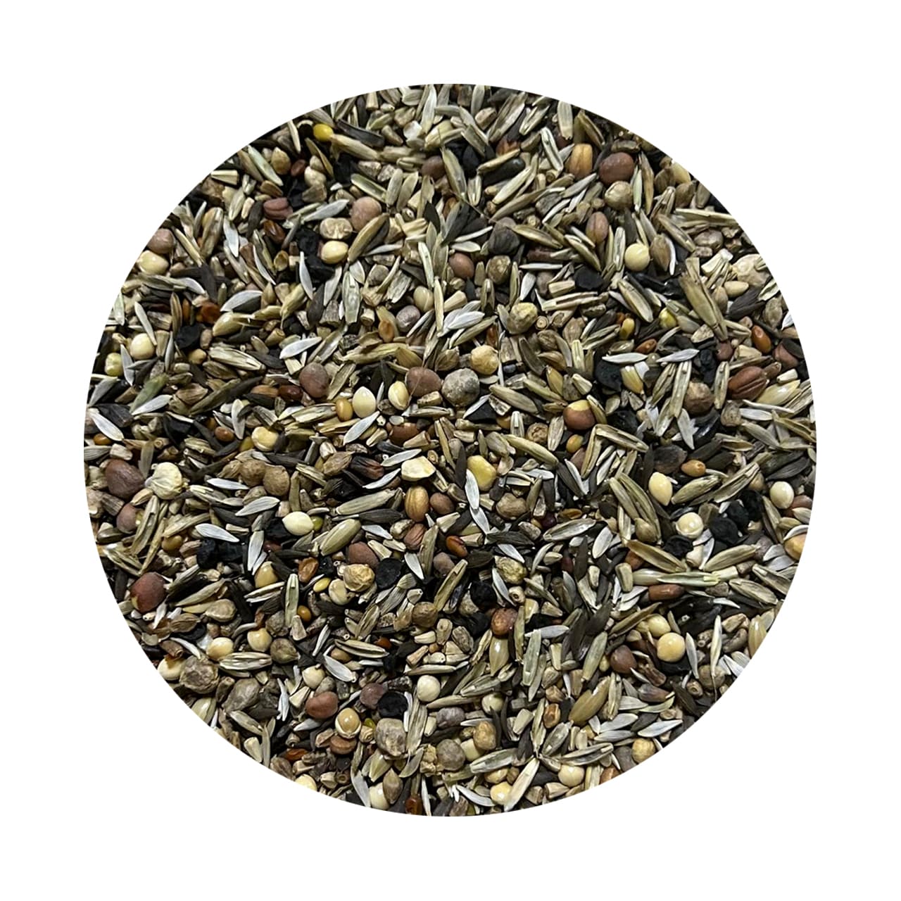 Raggio Di Sole Fly Extra Fly Benessere Sağlık Ve Kondisyon Tohumları Karışımı 1 Kg