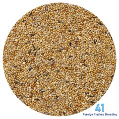 Deli Nature 41 Foreign Finches Finçler İçin Premium Üretici Yemi (B) 1 kg