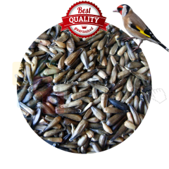 G1-Experience İthal 1. Sınıf Mikro Çekirdek 400 g