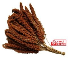 G1-Experience Yerli Üretim Kızıl Dal Darı 500 gr