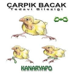 Kanaryapo Kanaryalar İçin Çarpık Bacak Tedavi Bilezik Seti 10 lu Plastik Set