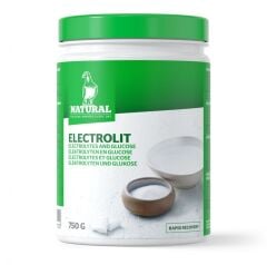 Natural Elektrolit Glucose Enerji Takviyesi (B) 100 gr