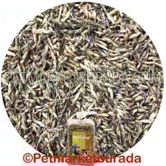 Floralia Delicha Doğal Bağışıklık Sistemi Kuvvetlendirici Özel Tohum (B) 100 gr