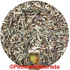 Floralia Delicha Doğal Bağışıklık Sistemi Kuvvetlendirici Özel Tohum (B) 100 gr