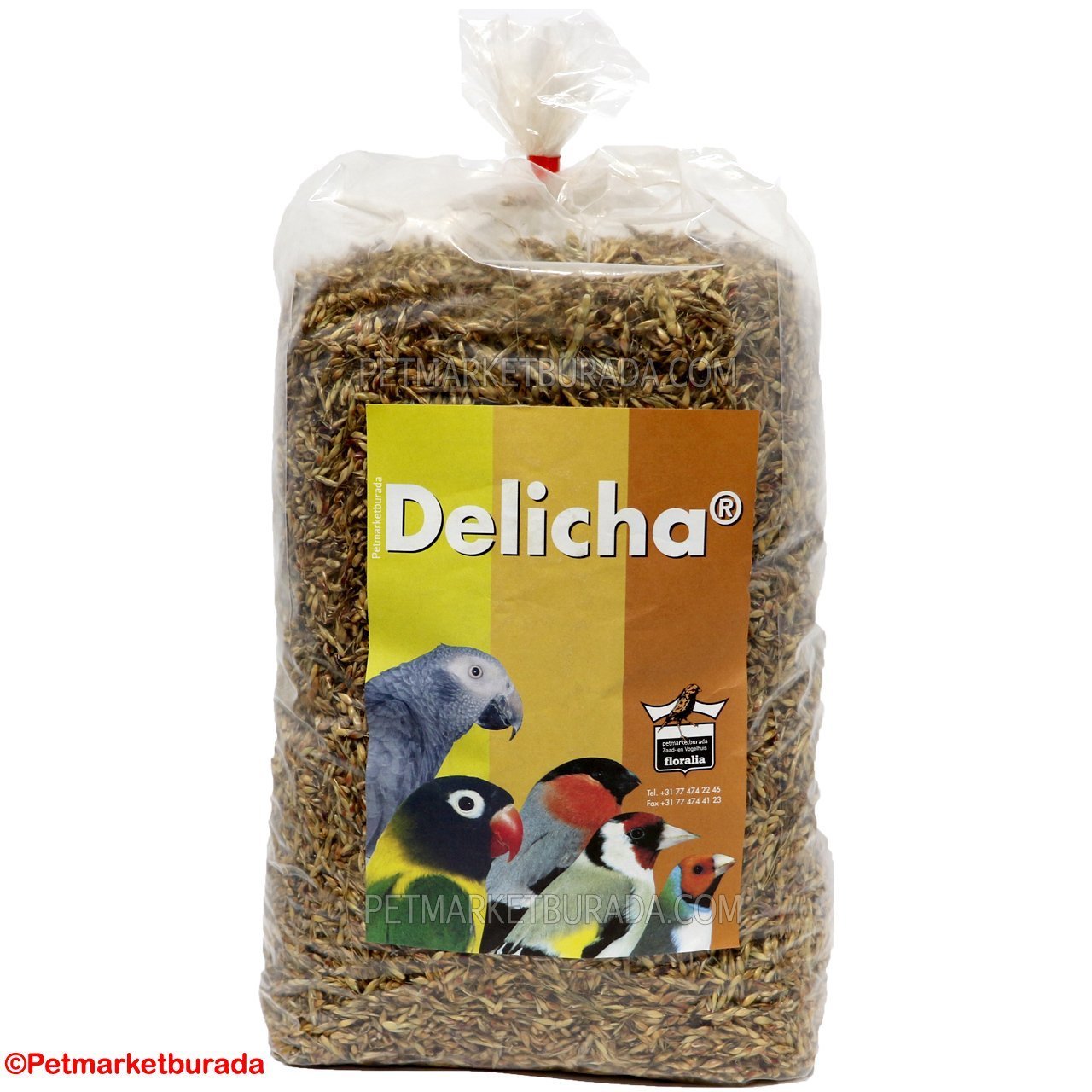 Floralia Delicha Doğal Bağışıklık Sistemi Kuvvetlendirici Özel Tohum (B) 100 gr