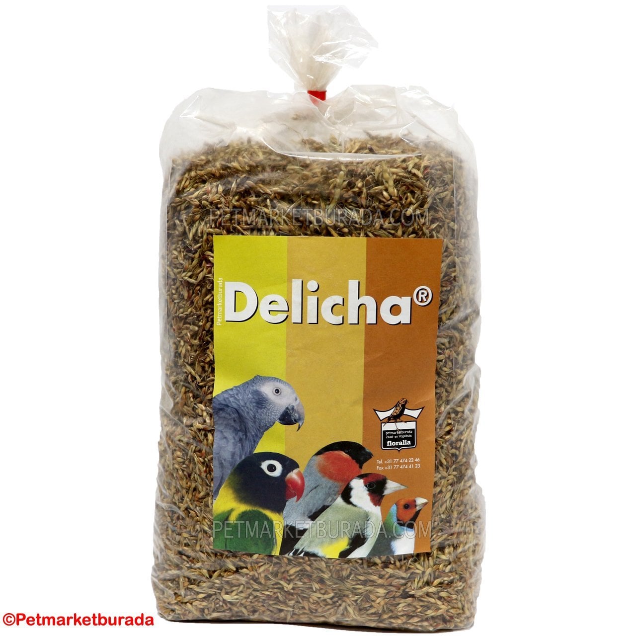 Floralia Delicha Doğal Bağışıklık Sistemi Kuvvetlendirici Özel Tohum (B) 100 gr