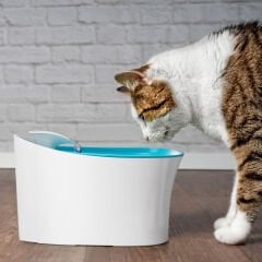 Brezza Pet Kedi Su Pınarı 2.5 lt