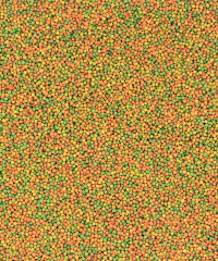 Versele Laga Nutribird B18 Damızlık Muhabbet Kuşları Ve Mini Paraketler İçin Meyveli Pelet Yem 10 kg