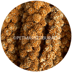 Beaks Kızıl Dal Darı 15 kg