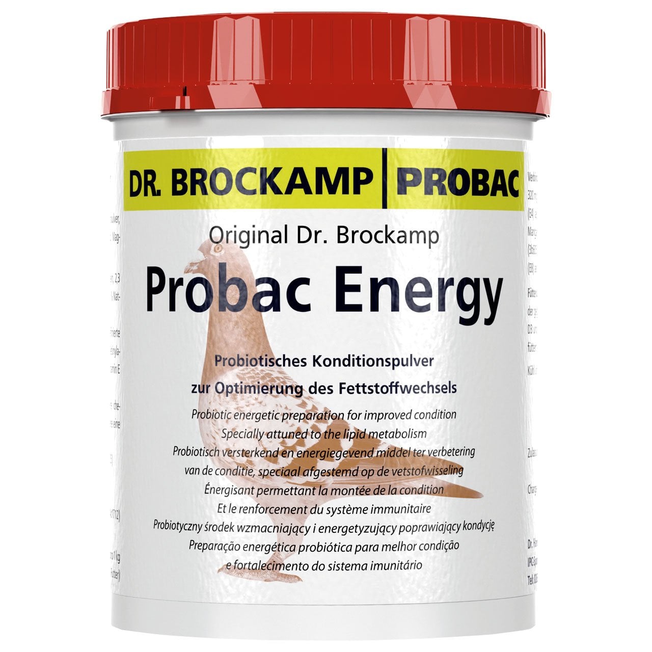 Dr. Brockamp | Probac Energy Kondisyon ve Bağışıklık Sistemi İçin Probiyotik ve Enerji Takviyesi 500 g