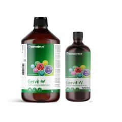 Röhnfried Gervit-W MultiVitamin Takviyesi (B) 100 ml