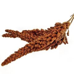 G1 Experience Premium Kızıl Tilki Kuyruğu Dal Darı 18 kg