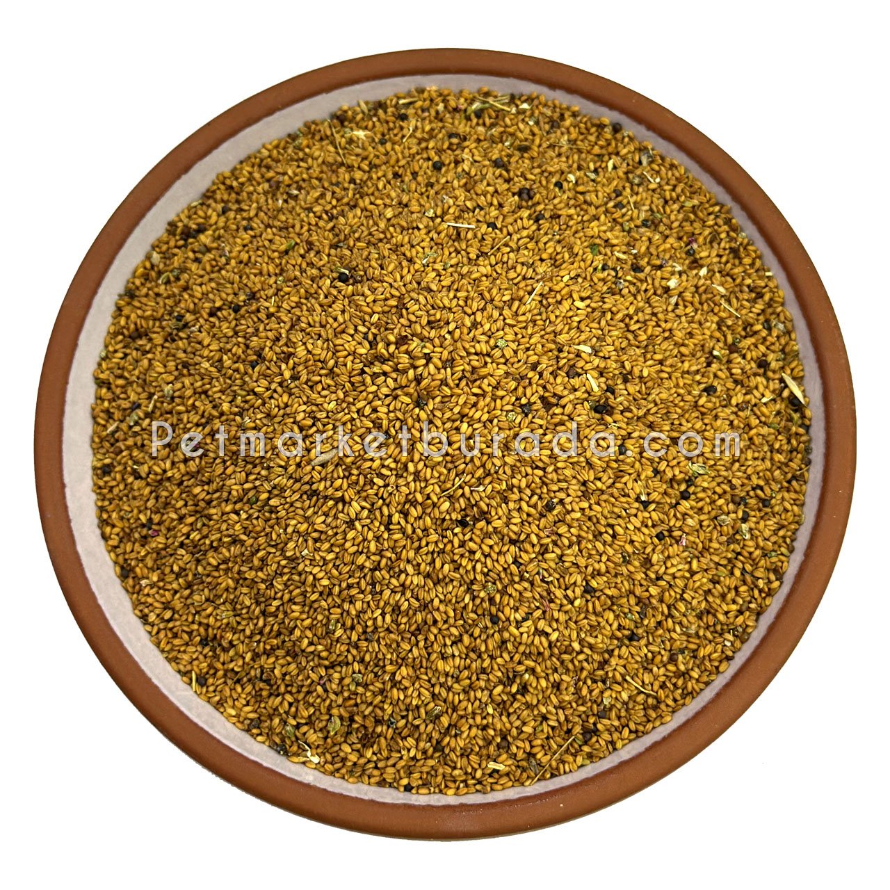 G1 Experience Ketencik Tohumu (Camelina sativa) – Kuşlar İçin